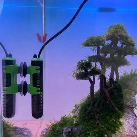 Thời Gian Hoạt Động Lý Tưởng