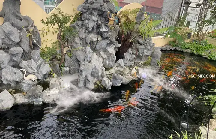 Bo Mạch Điều Khiển (circuit Board)