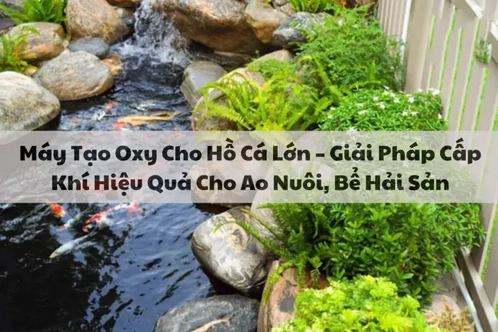 Máy Tạo Oxy Cho Hồ Cá Lớn – Giải Pháp Cấp Khí Hiệu Quả Cho ...
