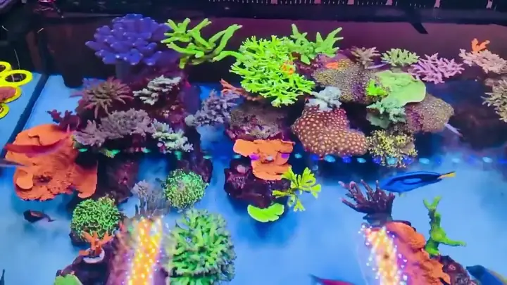 Máy Tạo Sóng, Các Loại Máy Tạo Sóng Cho Bể Cá Biển