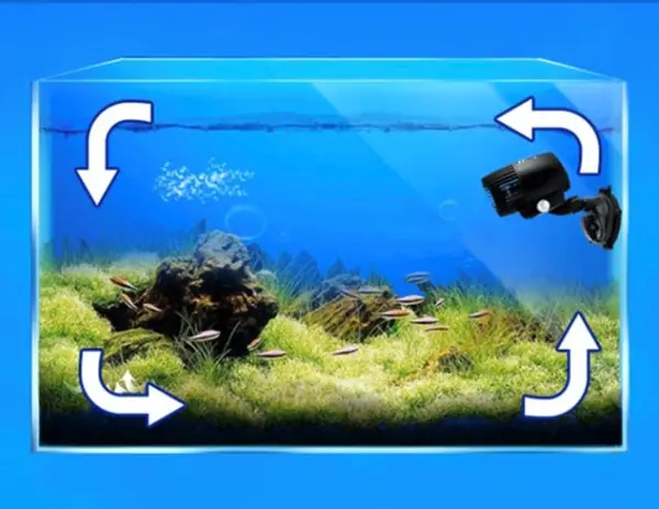 Có Nên Thổi Luồng Cho Hồ Cá Không?