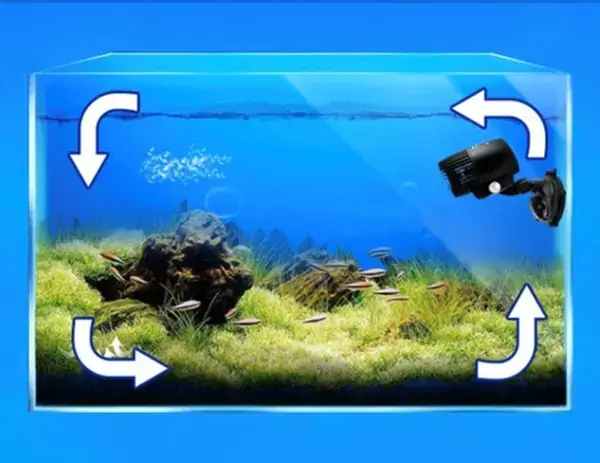 Thông Tin Cơ Bản Về Máy Thổi Luồng Hồ Cá Koi Và Vai Trò Của Jecod