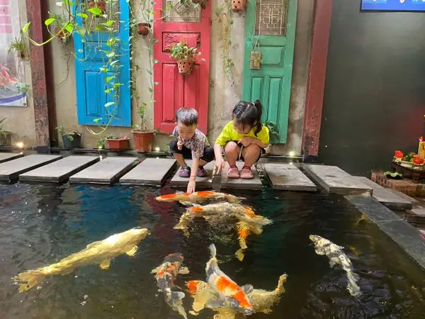 Máy Vệ Sinh Hồ - Pontec Đức