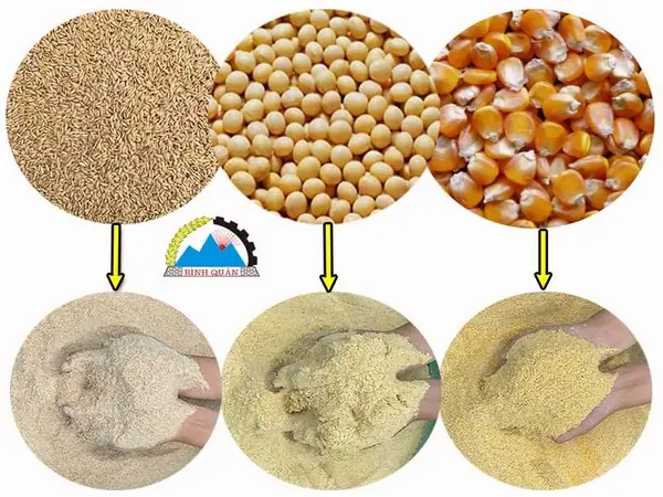 Tổng Hợp Máy Xay Cám Giá Rẻ, Bán Chạy Nhất Hiện Nay Tổng Hợp Máy Xay Cám Giá Rẻ, Bán Chạy Nhất Hiện Nay