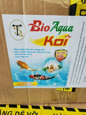 Một Số Lưu Ý Về Sự Tương Tác Bộ Lọc Hồ Koi Và Vi Sinh