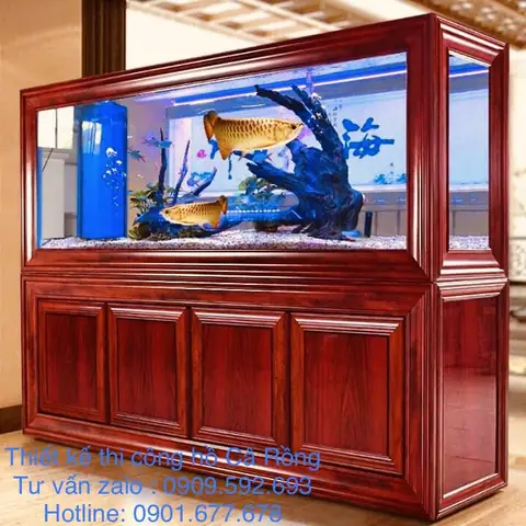 Thiết Kế Hồ Nuôi Cá Rồng Hợp Với Người Mệnh Mộc