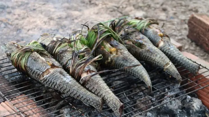 Thịt Cá Lau Kiếng Có Độc Không? Những Món Ăn Từ Cá Lau Kiếng Thịt Cá Lau Kiếng Có Độc Không? Những Món Ăn Từ Cá Lau Kiếng