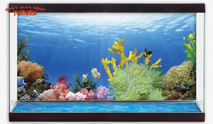 Các Loại Miếng Dán Hồ Cá Phổ Biến Hiện Nay