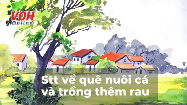 100 Stt Về Quê Trồng Rau Nuôi Cá, Cap Về Quê Nuôi Cá Trồng Thêm Rau ...