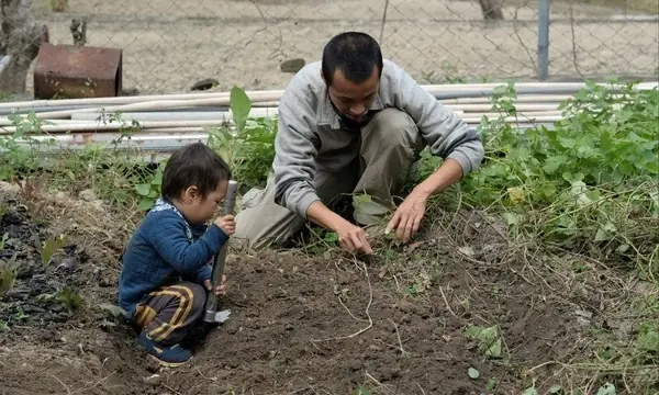 Bỏ Phố Về Quê Trồng Rau, Nuôi Cá - Sướng Ít, Khổ Nhiều