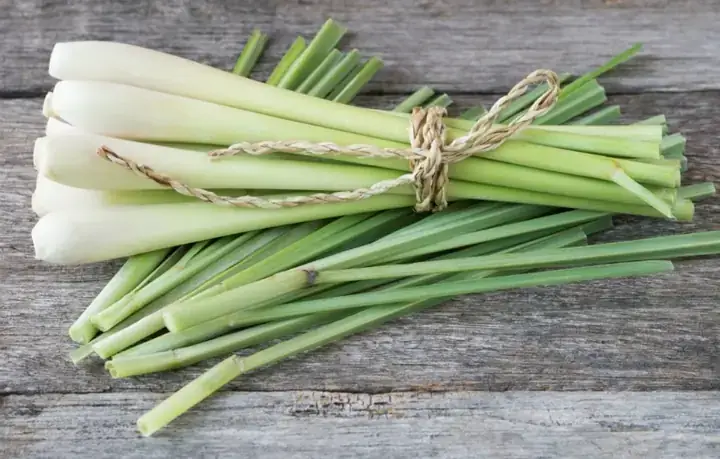 Áp Lực Chọn Lọc Tự Nhiên