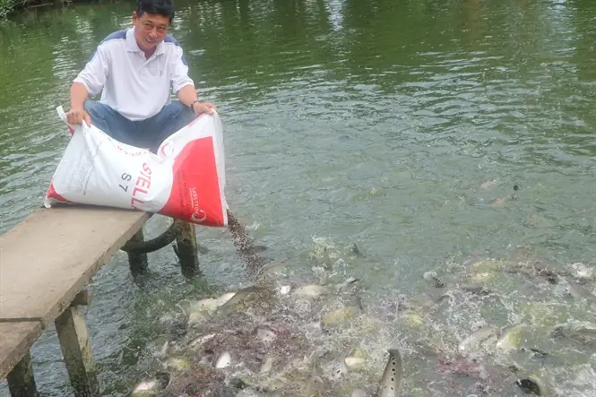 06-09-59_2_le_vn_bon_dng_cho_c_tht_lt_n 06-09-59_2_le_vn_bon_dng_cho_c_tht_lt_n