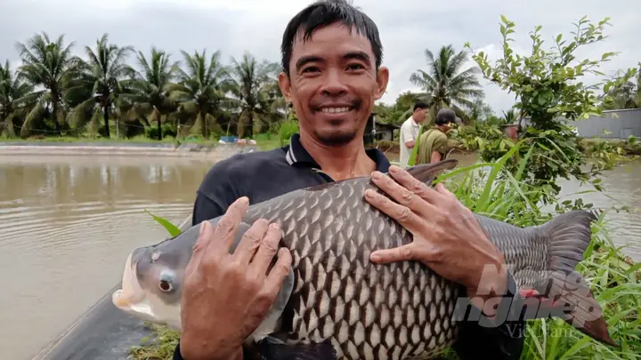 Bắt Được Cá Hô Vàng Khủng, Ngư Dân Vĩnh Long Bỏ Túi Hơn 300 Triệu