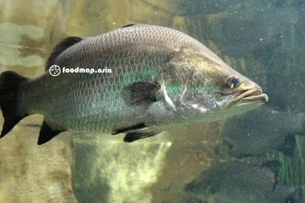 Tận Dụng Lợi Thế Địa Phương Kết Hợp Tìm Tòi Về Đặc Tính Của Từng Loại Cá, Nông Dân Nhiều Nơi Đã Phát Triển Thành Công Các Mô Hình Nuôi Cá Sạch, Thu Về Hàng Trăm Triệu Đến Cả Tỷ Đồng Mỗi Năm. Tận Dụng Lợi Thế Địa Phương Kết Hợp Tìm Tòi Về Đặc Tính Của Từng Loại Cá, Nông Dân Nhiều Nơi Đã Phát Triển Thành Công Các Mô Hình Nuôi Cá Sạch, Thu Về Hàng Trăm Triệu Đến Cả Tỷ Đồng Mỗi Năm.