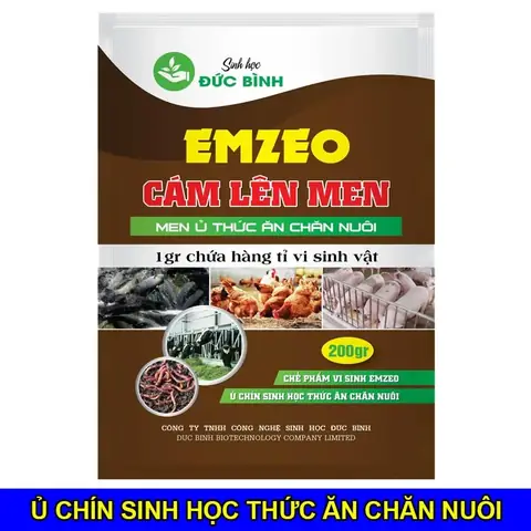 Làm Mồi Câu Trắm Đen Bằng Khoai Lang Và Bã Bia
