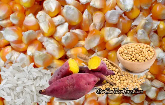 Mồi Câu Cá Trôi Củ Từ Ngô