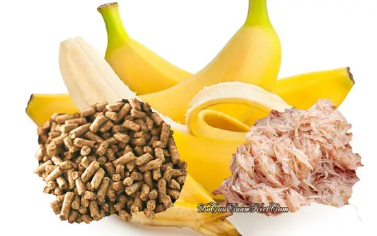 Cách Làm Mồi Câu Cá Tra Sông Từ Cám Tanh