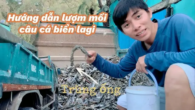 Mồi Câu Cá Bống Cát: Các Loại Mồi Tự Nhiên Và Công Thức Trộn Chuẩn Nhất Mồi Câu Cá Bống Cát: Các Loại Mồi Tự Nhiên Và Công Thức Trộn Chuẩn Nhất