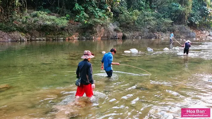 Câu Cá Bống Suối Tây Bắc - 1