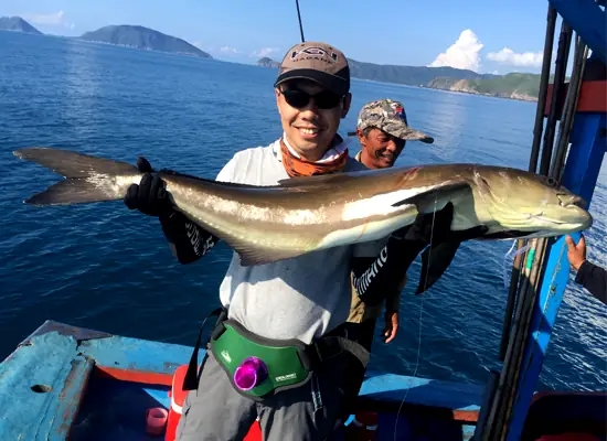 Mồi Câu Cá Bớp