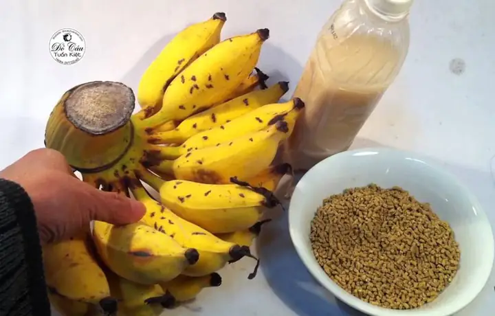 Mồi Cá Chép Hồ Tự Nhiên