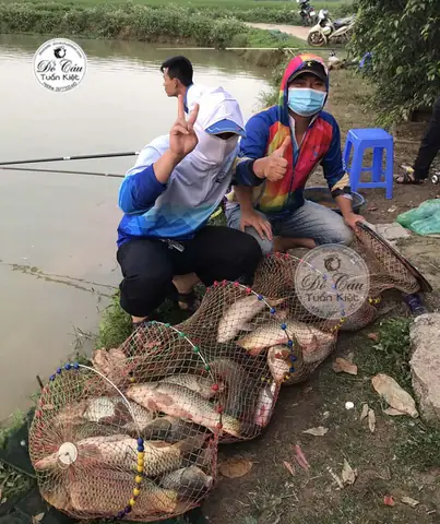 Mồi Câu Chép Hồ Dịch Vụ