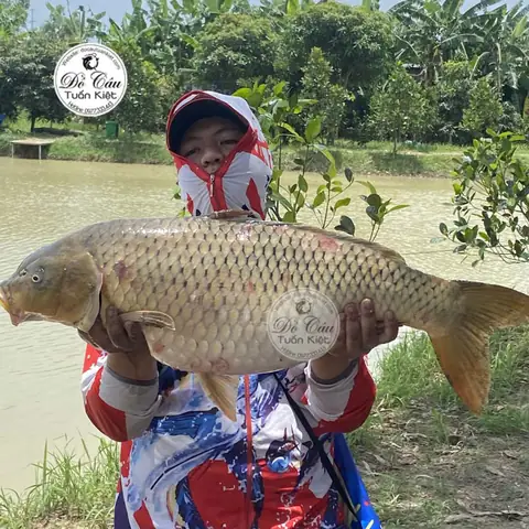 Mồi Câu Cá Chép Lưỡi Đơn