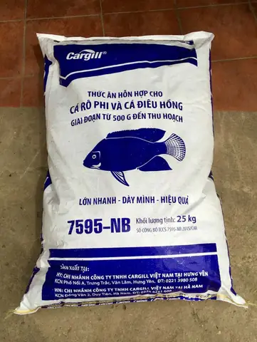 Cám Cá Với Tinh Mùi