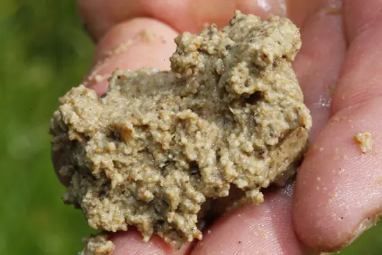 Cơm Nguội Và Bỗng Rượu