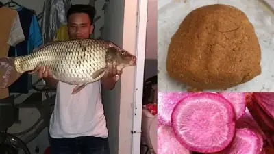 Moi-cau-ca-chep-mua-dong