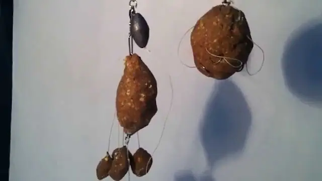 Dưới Đây Là Cách Làm Mồi Câu Cá Chép Sông Của Tôi Dưới Đây Là Cách Làm Mồi Câu Cá Chép Sông Của Tôi