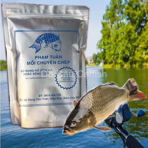 Mồi Câu Cá Chép Suối: Kinh Nghiệm Bắt Tay Vàng Cho Dòng Nước Chảy