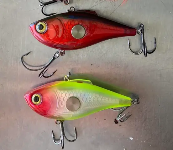 Top 10 Địa Điểm Câu Cá Tra Tự Nhiên Lý Tưởng Quanh Tphcm