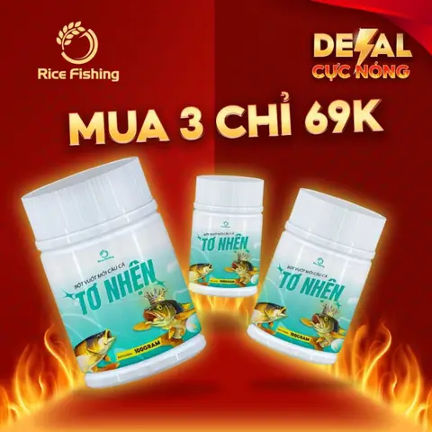 Đặc Điểm Nổi Bật