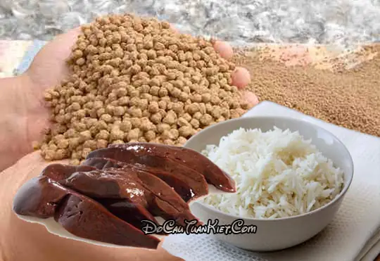 Mồi Câu Cá Lăng Sông Từ Gan Lợn Và Cám Cá