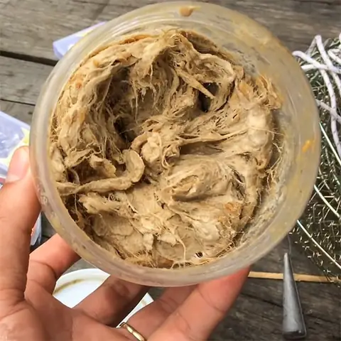 Câu Giăng Cá Lăng Sông Sử Dụng Mồi Tép Câu Giăng Cá Lăng Sông Sử Dụng Mồi Tép