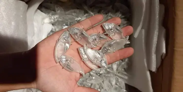 Mồi Câu Cá Lóc V5