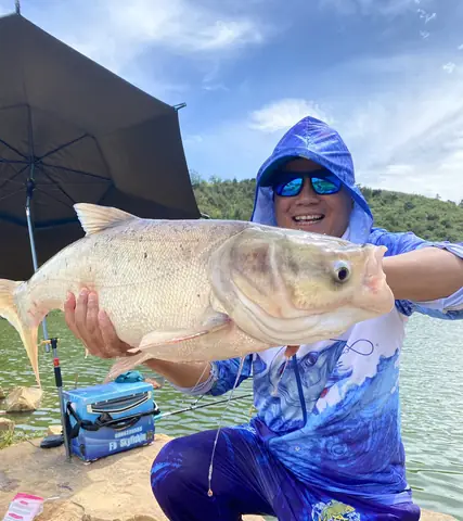 Bài Mồi Câu Cá Mè Siêu Đơn Giản Tại Vũ Môn