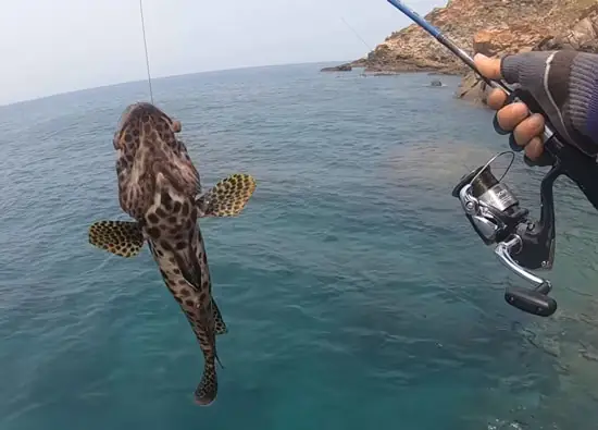 Mồi Giả Câu Lure Cá Mú