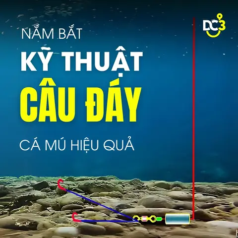 Phương Pháp Câu Đáy Hiệu Quả