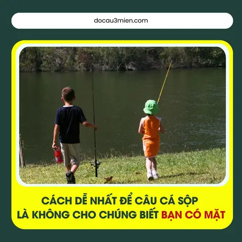 Tìm Hiểu Về Đặc Tính Săn Mồi Của Cá Sộp