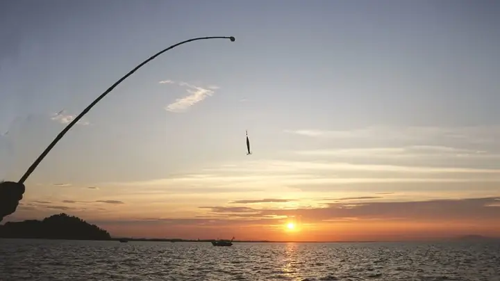 Mồi Câu Cá Rói: Công Thức Tự Làm Và Bí Quyết Đánh Trúng "điểm Ngọt" Của Rói