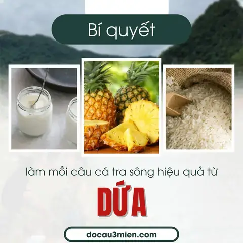 Các Loại Mồi Câu Cá Tra Ao Phổ Biến Nhất