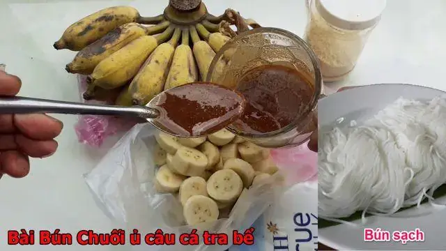 Bài 3: Bún Chuối Câu Cá Tra Hugo