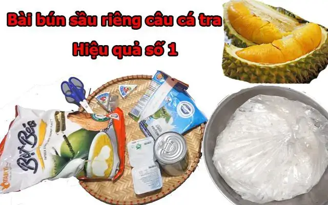Bài 4: Bún Sầu Riêng Câu Cá Tra Bể