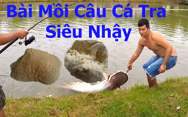 Tổng Hợp Những Bài Mồi Câu Cá Tra Siêu Nhậy - Có Cá 100%