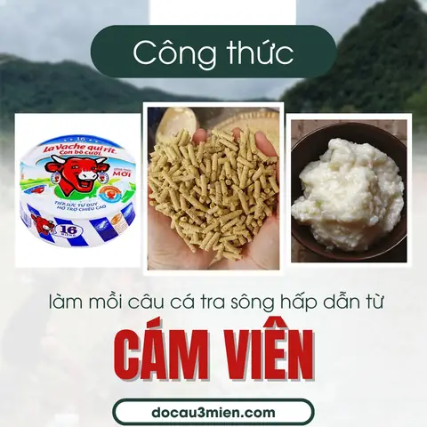 Công Thức Làm Mồi Câu Cá Tra Sông Hấp Dẫn Từ Cám Viên