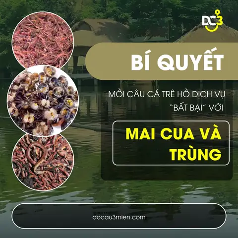 Bí Quyết Mồi Câu Cá Trê Hồ Dịch Vụ “bất Bại” Với Mai Cua Và Trùng
