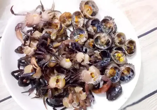 Mồi Câu Cá Trê Hồ Dịch Vụ Từ Mai Cua Và Trùng