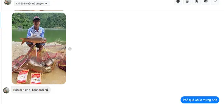 Mồi Câu Cá Trôi Hồ Tự Nhiên